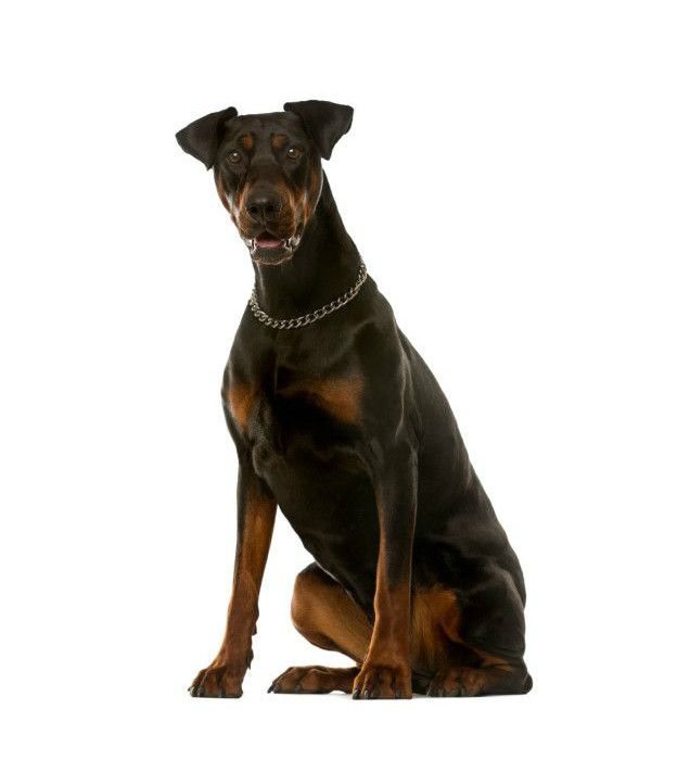 Thinkstock