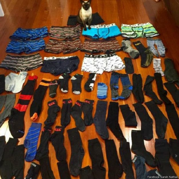 Brigit and underwear