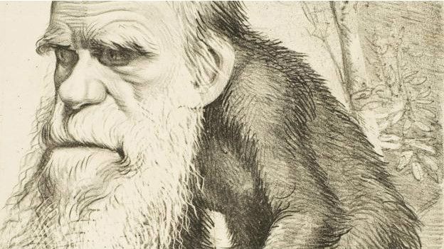 http://ichef-1.bbci.co.uk/news/ws/624/amz/worldservice/live/assets/images/2016/03/27/160327140018_1871_cartoon_depicting_charles_darwin_as_an_ape_624x351_wikimediacommons_nocredit.jpg