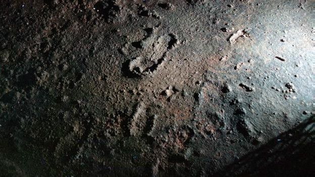 http://ichef-1.bbci.co.uk/news/ws/624/amz/worldservice/live/assets/images/2016/04/25/160425125941_footprints_prehistoric_pic_2_624x351_andreaspastoorsetal_nocredit.jpg