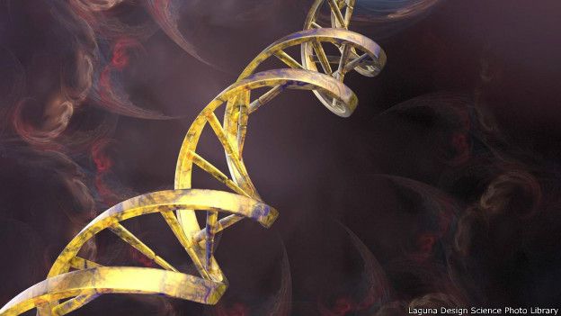 http://ichef-1.bbci.co.uk/news/ws/624/amz/worldservice/live/assets/images/2016/05/08/160508152943_dna_624x351_lagunadesignsciencephotolibrary.jpg