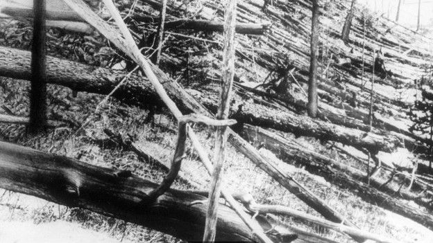 В 1908 году в районе сибирской реки Тунгуски упал метеорит, круша все на своем пути