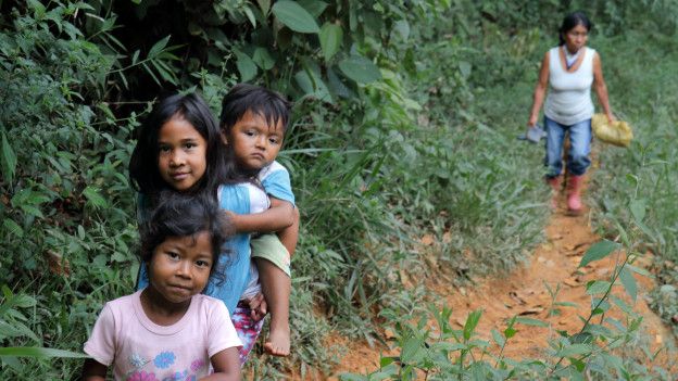 Niños (frente) acompañan a la mayora Irene al cafetal.