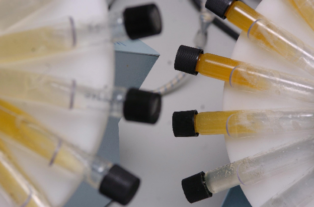 160617111828_worst_dopers_digihub_main_6