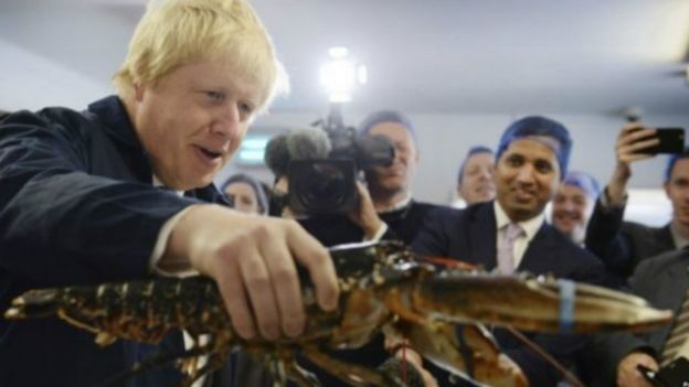 脱欧派赢得英国欧盟公投结果的八大原因(组图)