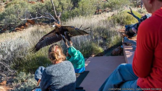 160712115056_eagle_boy_australia_640x360