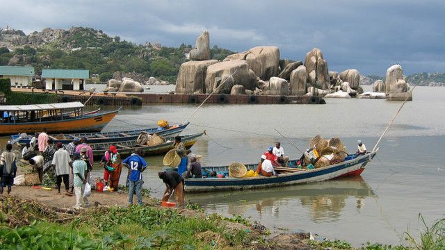 Image result for ziwa victoria