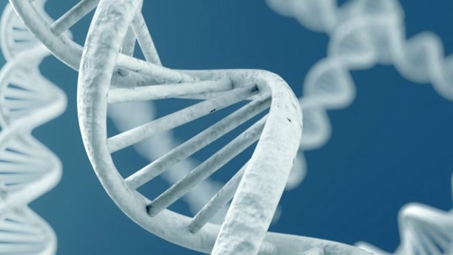 Нобелевская премия по химии вручена за восстановление ДНК