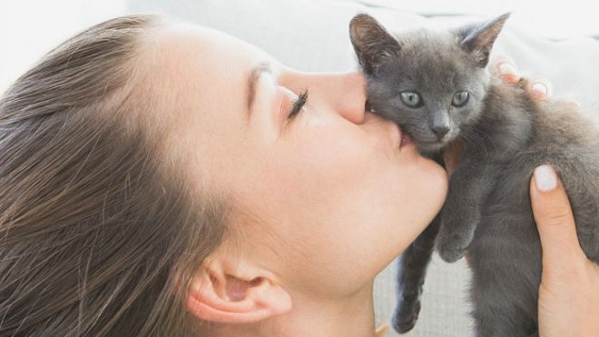 151021144509_cats_girl_kissing_kitten_624x351_thinkstock_nocredit.jpg
