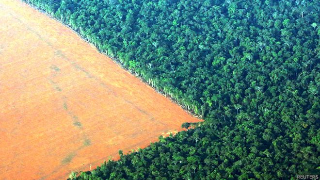Selva amazónica junto a tierra talada y preparada para la plantación de soya en Mato Grosso, Brasil