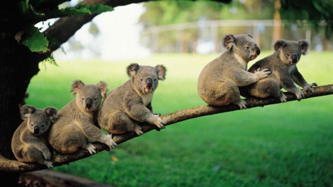 Alamy