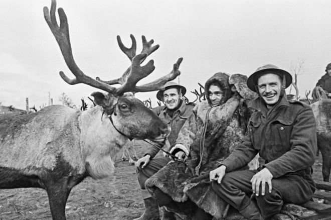 160506111426_deer_624x415_rianovosti_noc