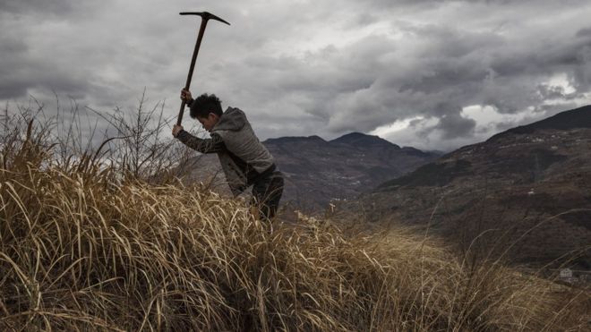 四川雅安汉源县一名农民在山边掘地种上果树(26/3/2016)