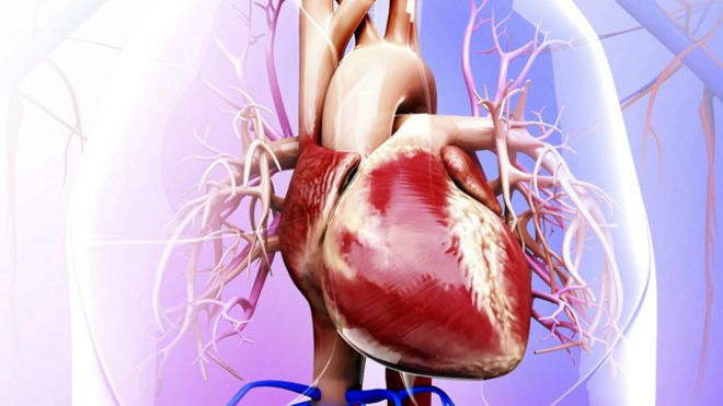 أمراض القلب ما زالت - وستبقى - اهم سبب للوفاة في الولايات المتحدة