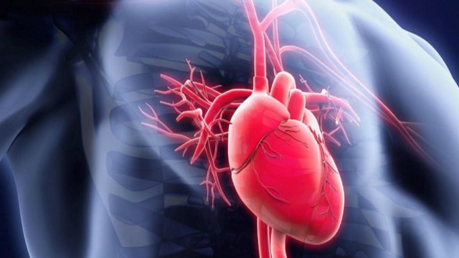 حقائق قد لا تعرفها عن قلبك ودمائك