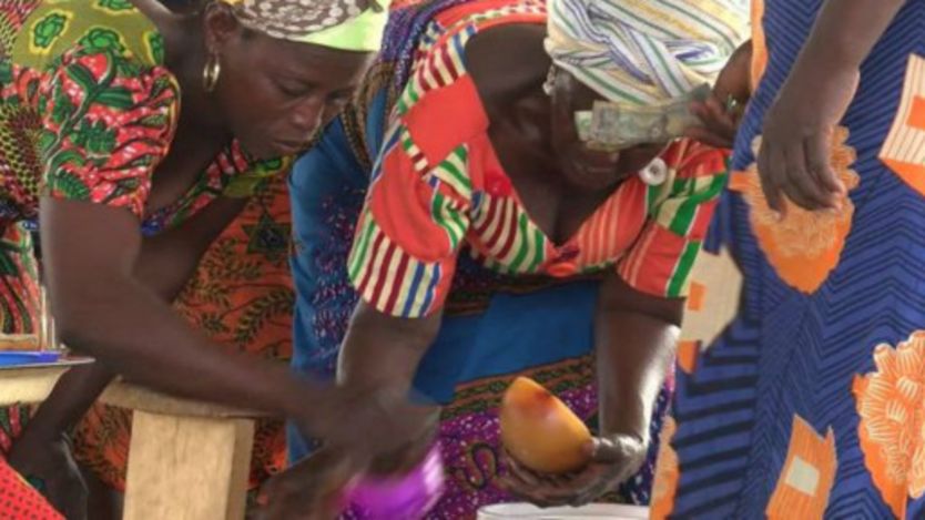 Des femmes choisissant des noix de karité