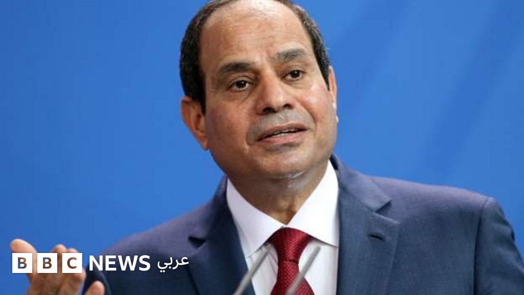 السيسي مخاطبا السودان واثيوبيا: مصر لا تحارب أشقاءها