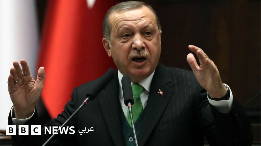 أردوغان: عملية عفرين ستتم بمشاركة مقاتلين من سوريا