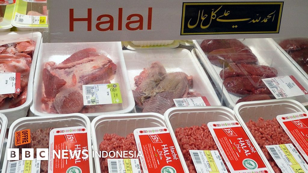 Sertifikat mui tentang forex