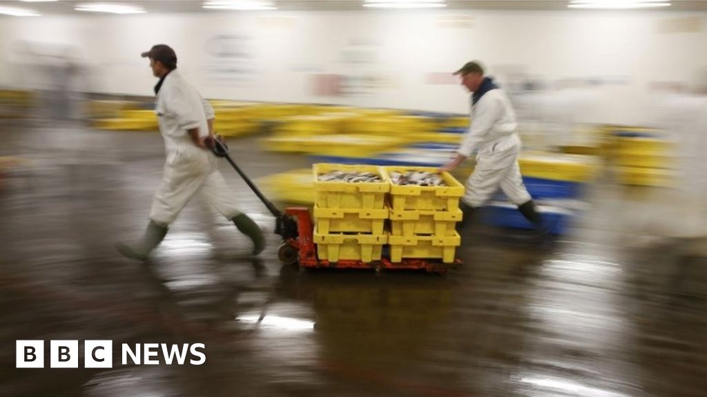 UK fishing quota increases agreed at EU negotiations BBC News