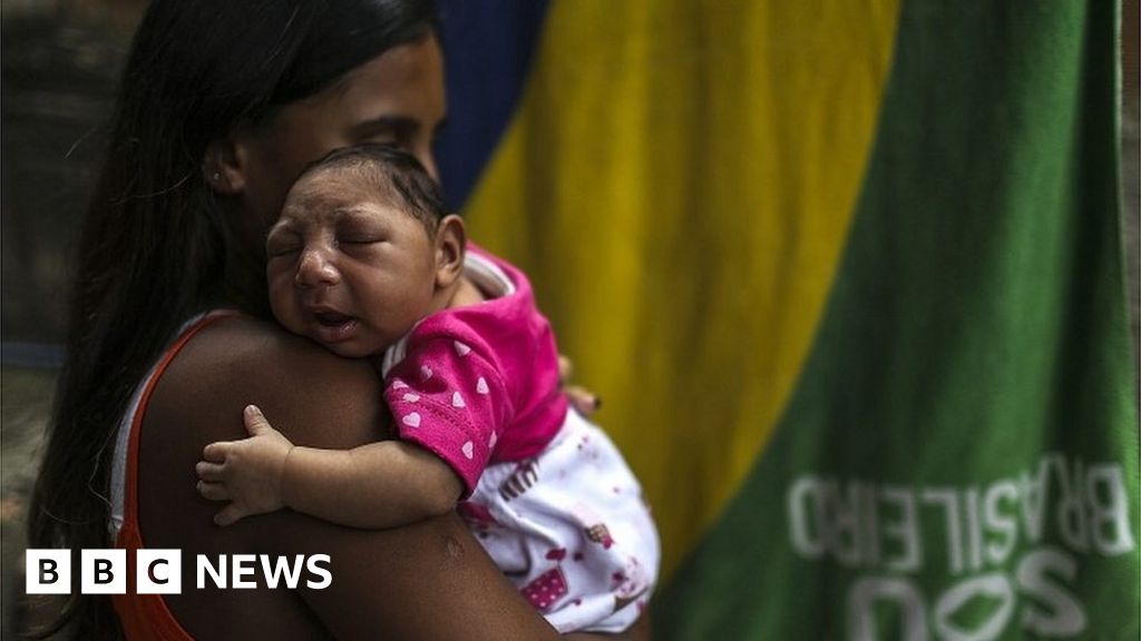 Zika virus: Work begins on vaccine for pregnant women