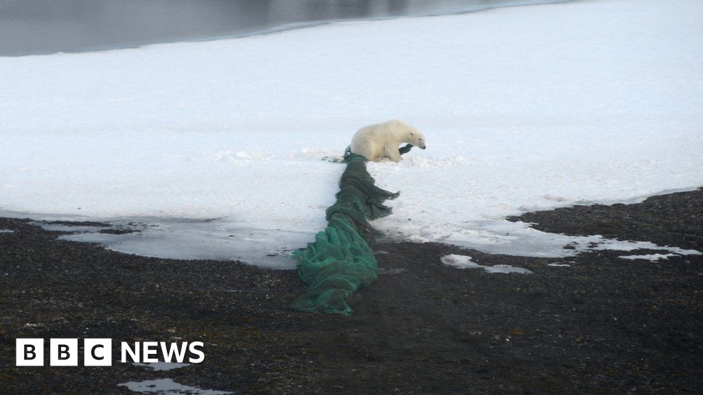 Plastic Pollution Reaching Record Levels In Once Pristine Arctic - BBC News