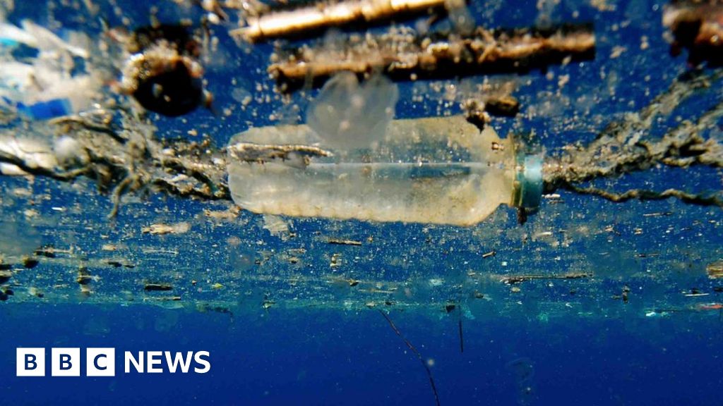 Recycling hope for plastic-hungry enzyme