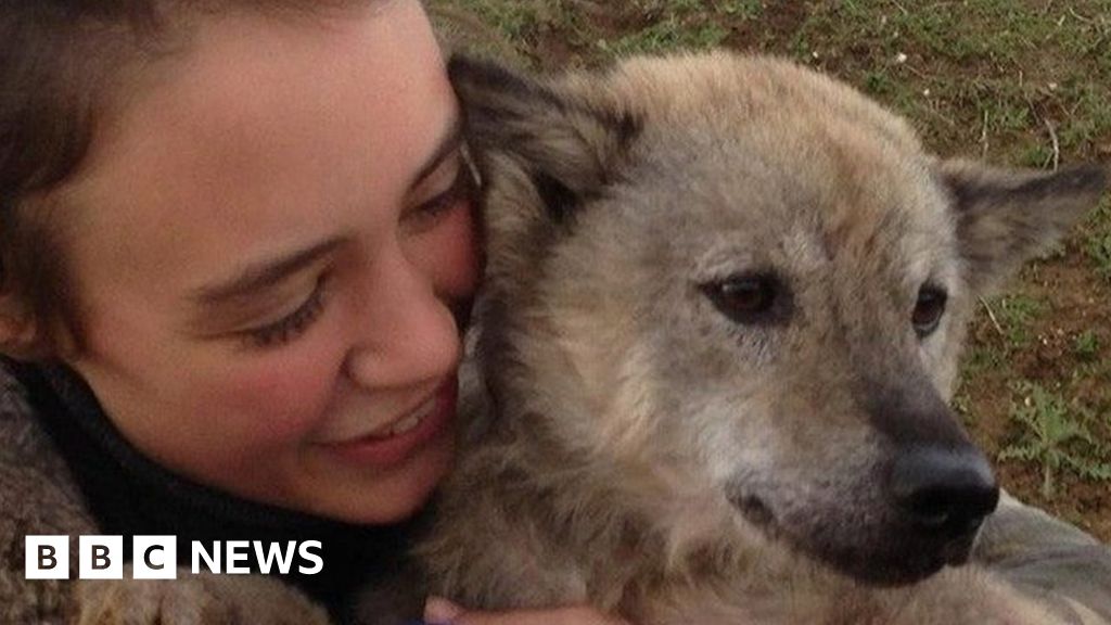 Vietnam dog gives UK rescuer slip in Paris