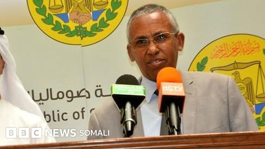 https://ichef-1.bbci.co.uk/news/1024/branded_somali/2BE4/production/_95963211_p0528dbz.jpg