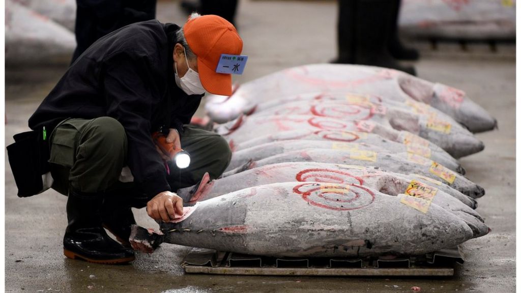 Japan tuna nets a high bid at new year Tokyo auction BBC News