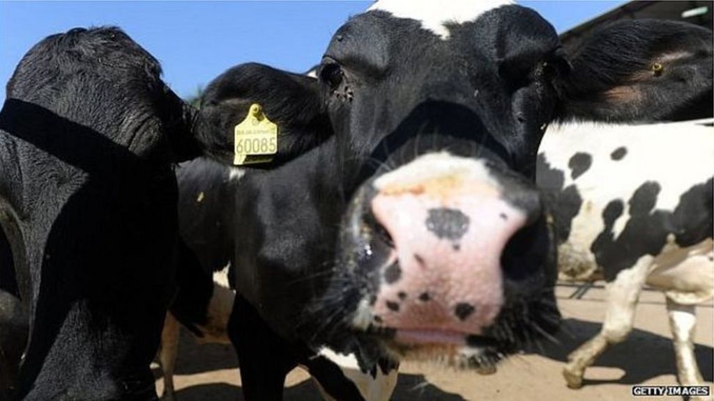 Brexit challenges agri-food industry, say Lords