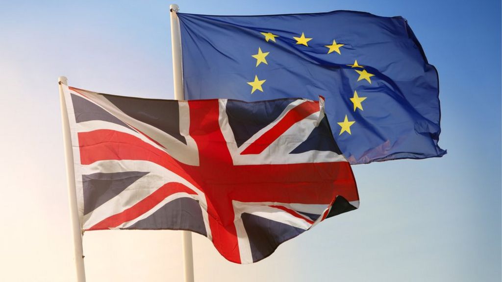 Leave.EU investigated by watchdog over referendum 'offences'