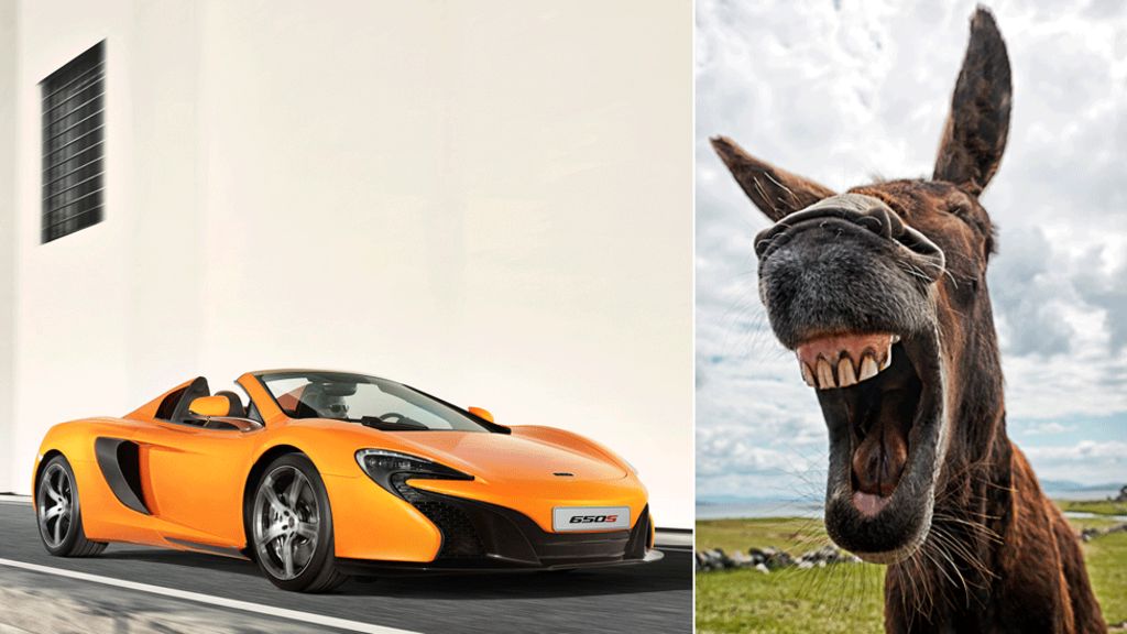Carrotcoloured sports car damaged by hungry German donkey