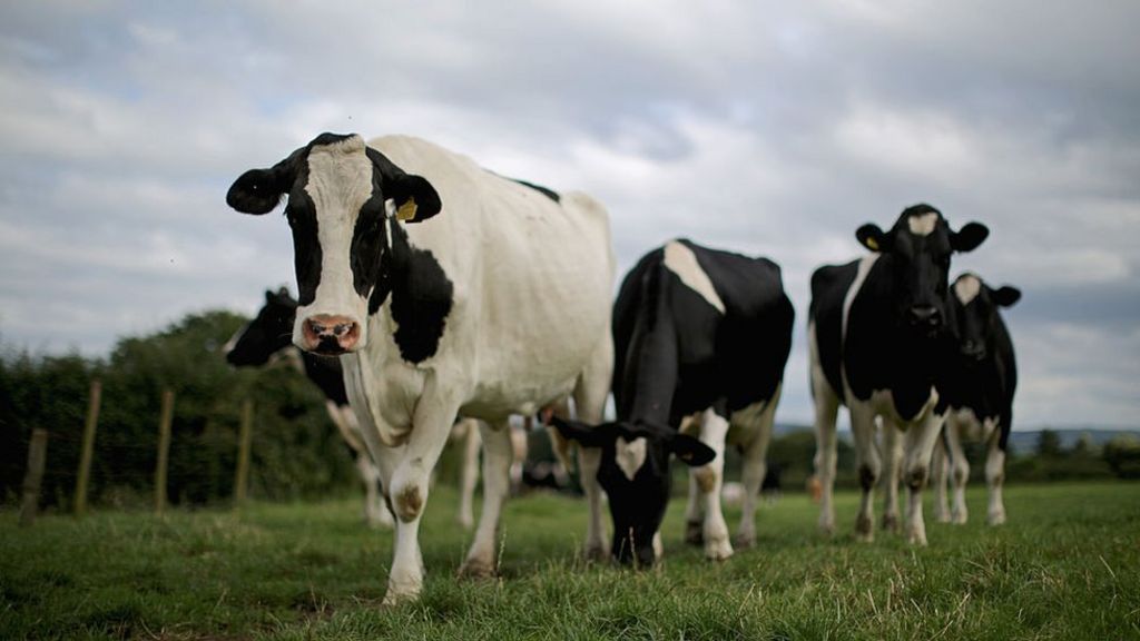 Arla boss warns of butter shortage