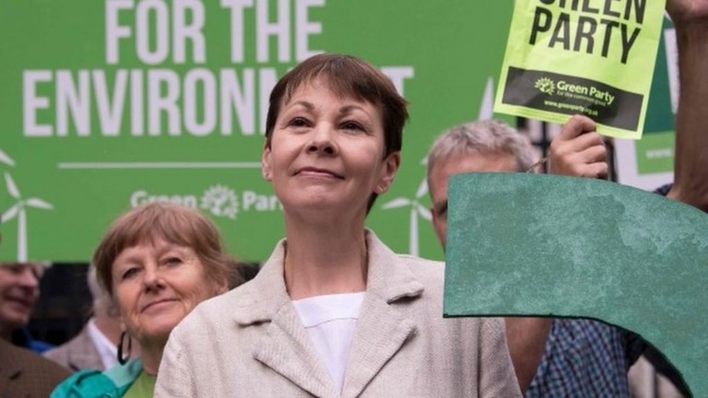 Greens accuse election rivals of 'ignoring' environment