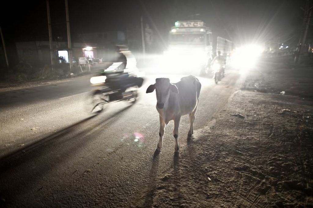 Arrest after 'cow vigilantes' lynch man