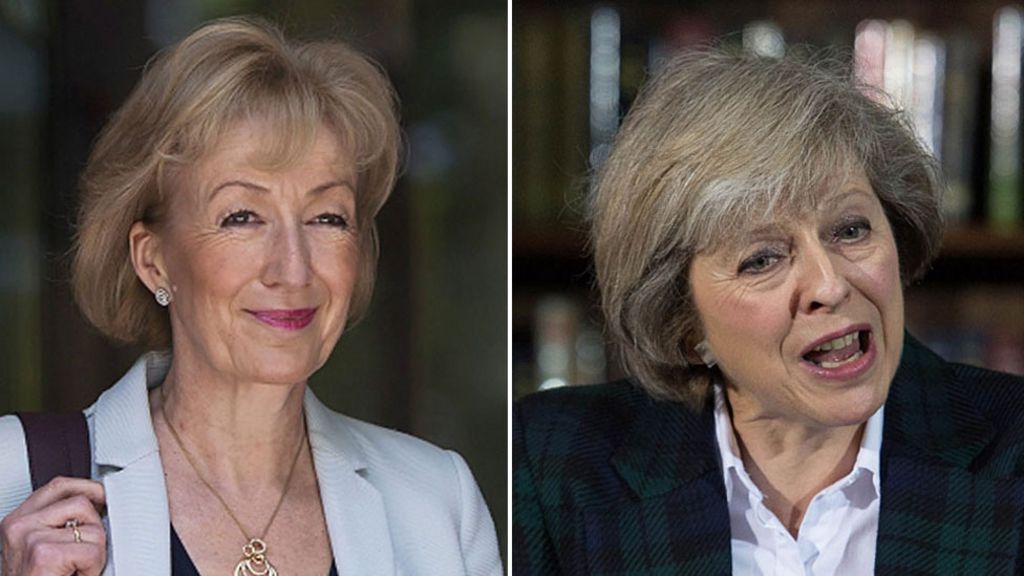 Head-to-head: How Theresa May and Andrea Leadsom compare - BBC News