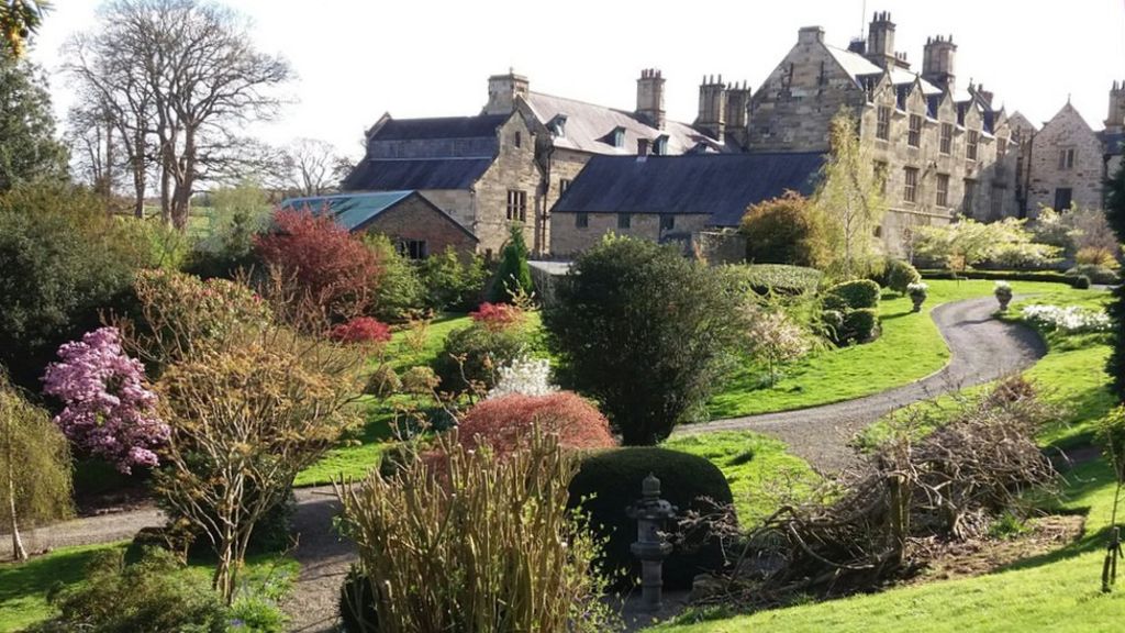 Mostyn Hall gardens open for National Garden Scheme