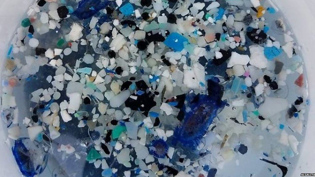 Plastic found in remote South Pacific