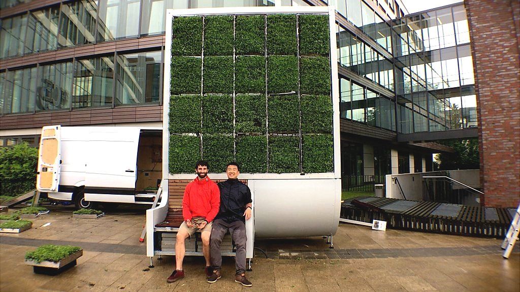 Unleashing the power of moss to clean cities