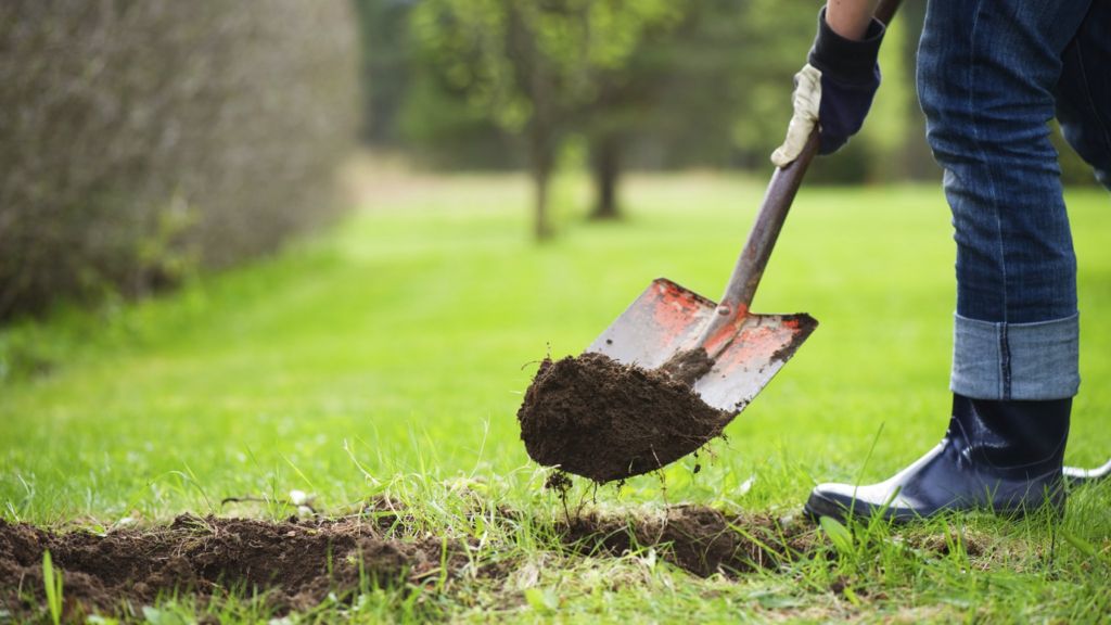 A Point Of View: Why Gardening Is Really About Digging Your Own Grave ...