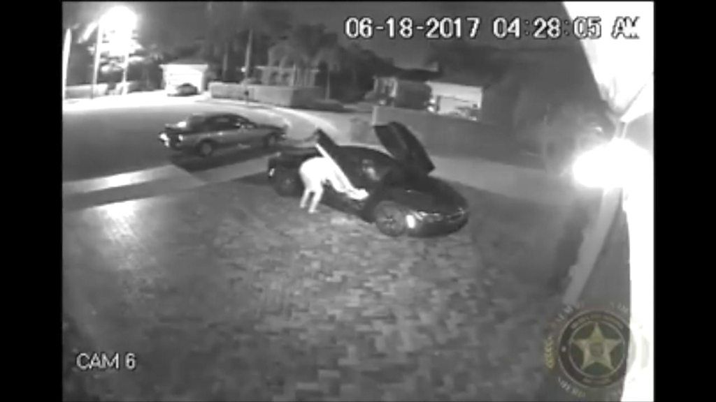 Resultado de imagen para pictures of florida thief caught with pants down