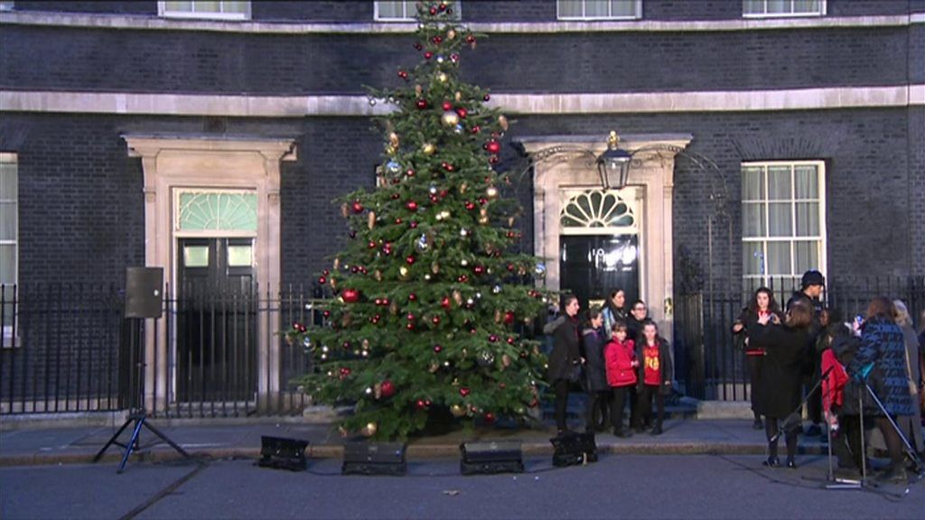gower farmer s christmas tree on show at number 10 bbc news gower farmer s christmas tree on show at number 10 bbc news