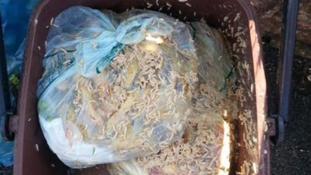 Bridgend recycling scheme 'spiralling out of control'