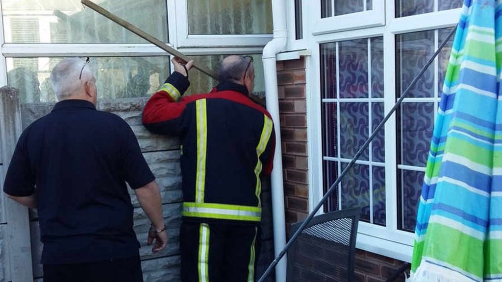 Tortoise stuck between Dudley homes leaves fire crew with painstaking task