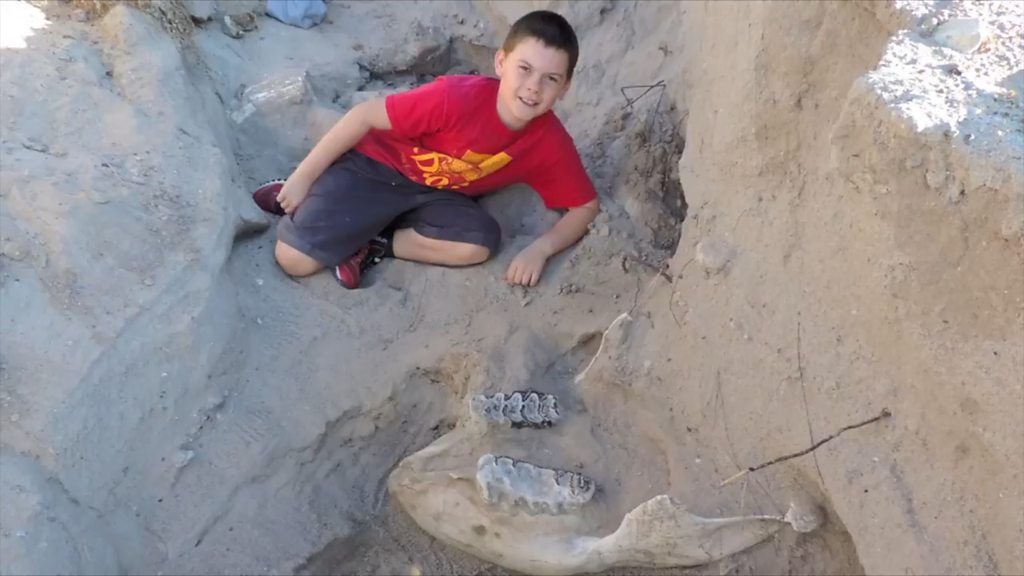 New Mexico boy trips over 1.2 million year old fossil