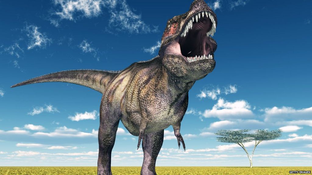 Mighty T. rex 'walked rather than sprinted'