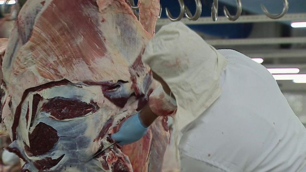 India buffalo abattoirs sit empty after government crackdown