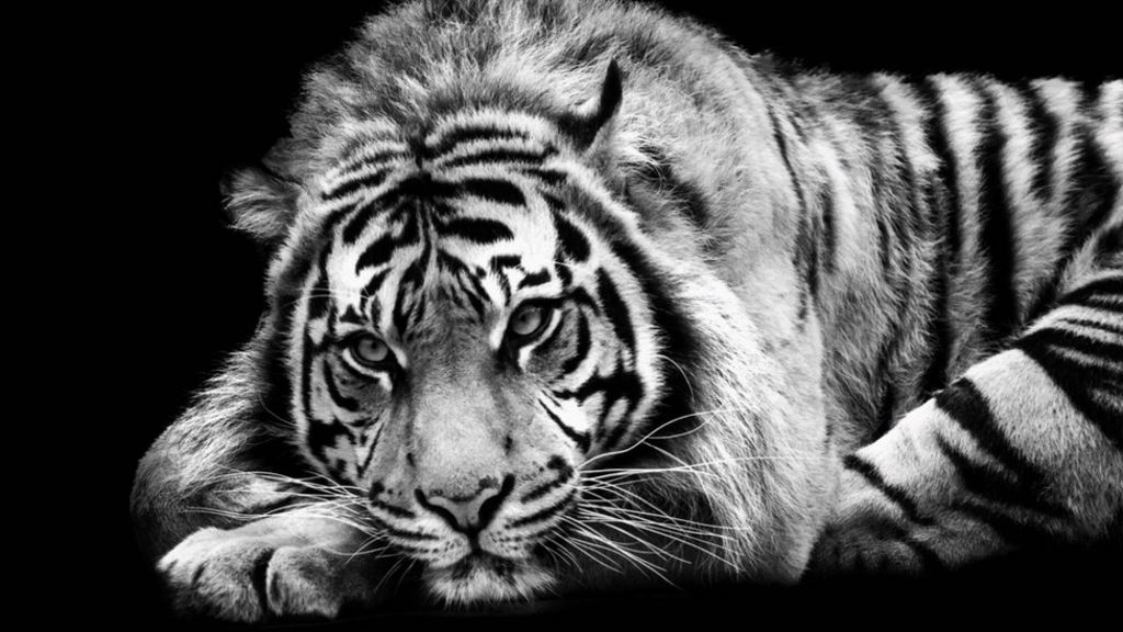 Blind photographer from Gwynedd captures beauty of Wales - BBC ... - BBC News