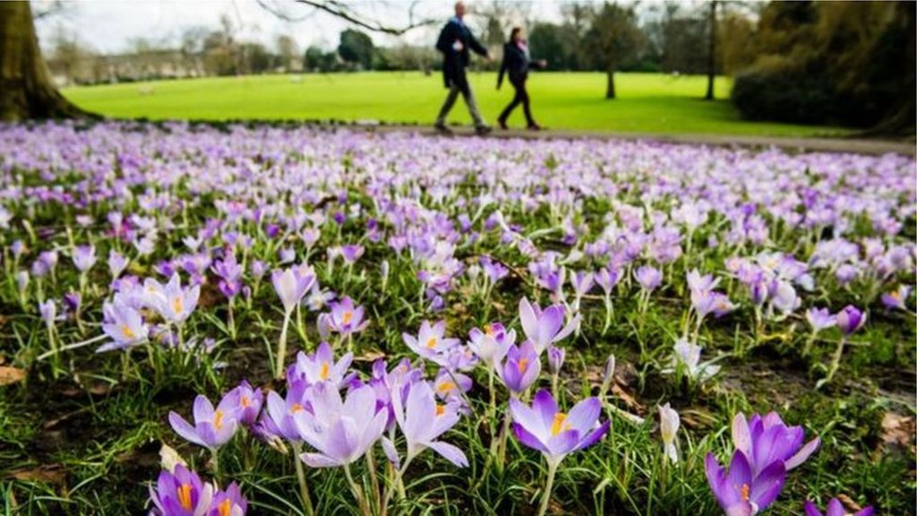 Spring 2017 'warmest on record for Northern Ireland'